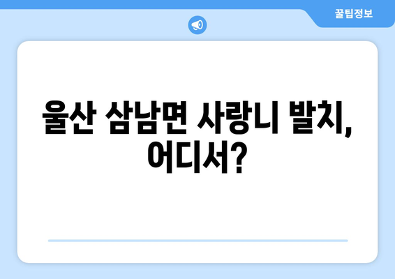 울산시 울주군 삼남면 사랑니 치과 매복 발치 잘하는 곳 비용 | 후기 | 추천