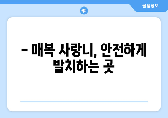 대구시 달성군 다사읍 사랑니 치과 매복 발치 잘하는 곳 비용 | 후기 | 추천