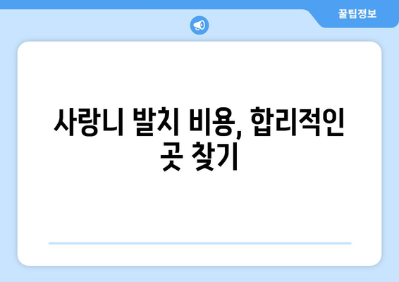서울시 동대문구 제기동 사랑니 치과 매복 발치 잘하는 곳 비용 | 후기 | 추천