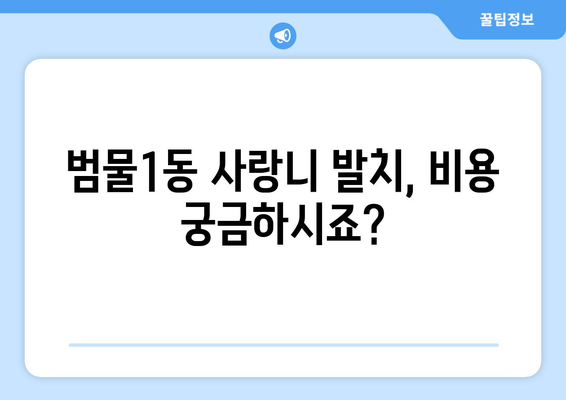 대구시 수성구 범물1동 사랑니 치과 매복 발치 잘하는 곳 비용 | 후기 | 추천