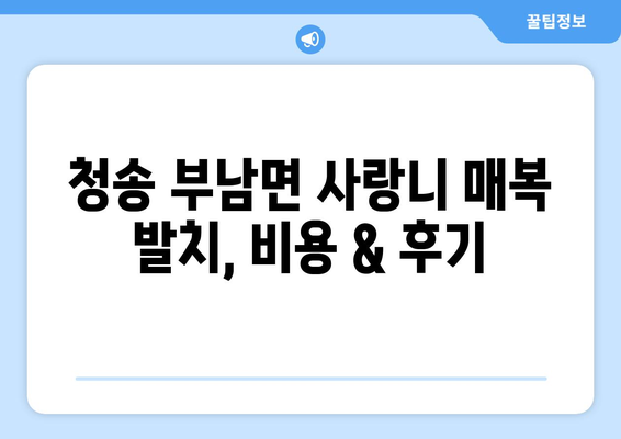 경상북도 청송군 부남면 사랑니 치과 매복 발치 잘하는 곳 비용 | 후기 | 추천