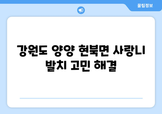 강원도 양양군 현북면 사랑니 치과 매복 발치 잘하는 곳 비용 | 후기 | 추천