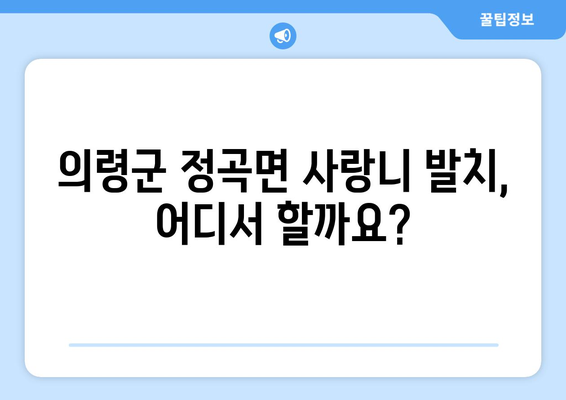 경상남도 의령군 정곡면 사랑니 치과 매복 발치 잘하는 곳 비용 | 후기 | 추천