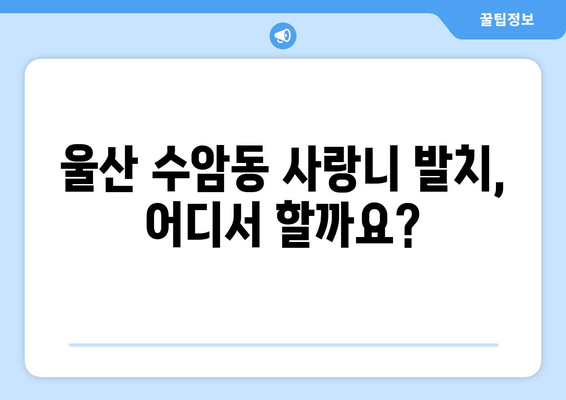 울산시 남구 수암동 사랑니 치과 매복 발치 잘하는 곳 비용 | 후기 | 추천