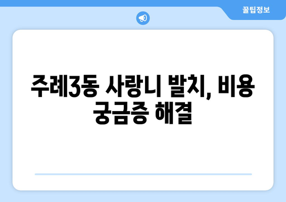 부산시 사상구 주례3동 사랑니 치과 매복 발치 잘하는 곳 비용 | 후기 | 추천