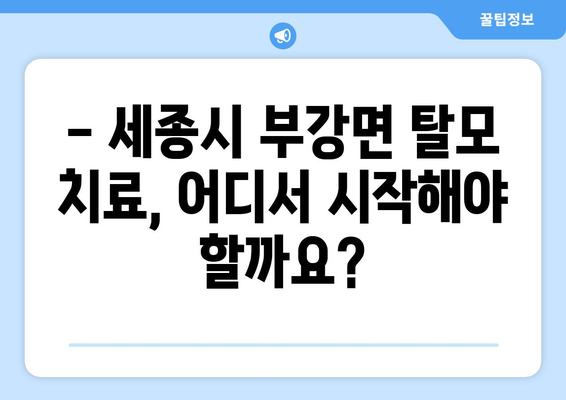 세종시 세종특별자치시 부강면 모바일식 탈모치료 잘하는곳 두피관리 추천 베스트 헤어라인 정수리 비용 후기