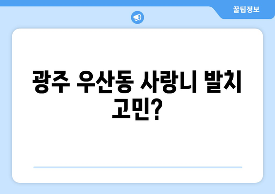 광주시 북구 우산동 사랑니 치과 매복 발치 잘하는 곳 비용 | 후기 | 추천