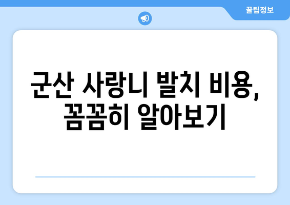 전라북도 군산시 중앙동 사랑니 치과 매복 발치 잘하는 곳 비용 | 후기 | 추천