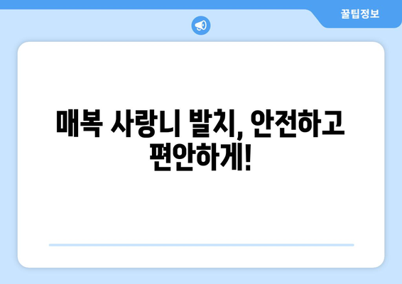 전라북도 고창군 무장면 사랑니 치과 매복 발치 잘하는 곳 비용 | 후기 | 추천