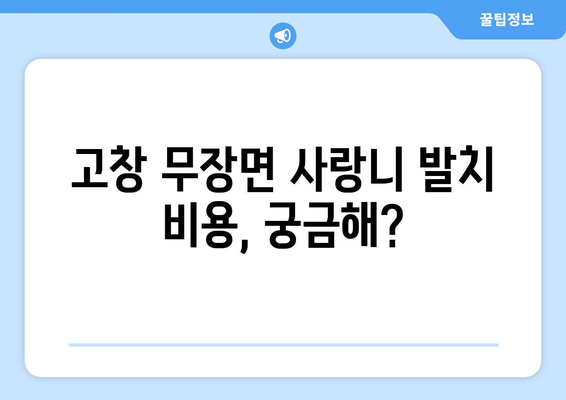전라북도 고창군 무장면 사랑니 치과 매복 발치 잘하는 곳 비용 | 후기 | 추천