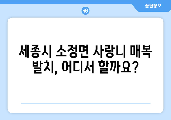 세종시 세종특별자치시 소정면 사랑니 치과 매복 발치 잘하는 곳 비용 | 후기 | 추천