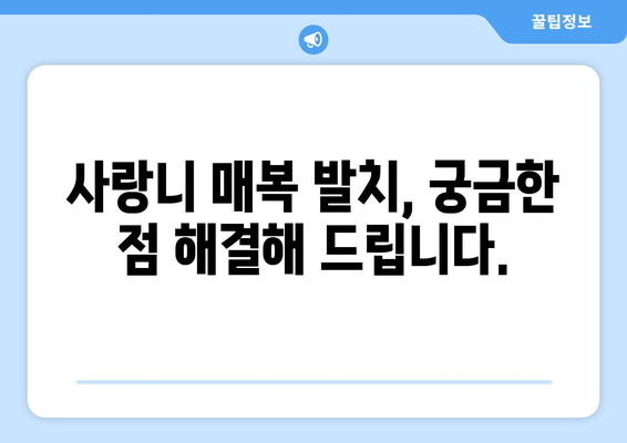서울시 동대문구 장안제1동 사랑니 치과 매복 발치 잘하는 곳 비용 | 후기 | 추천