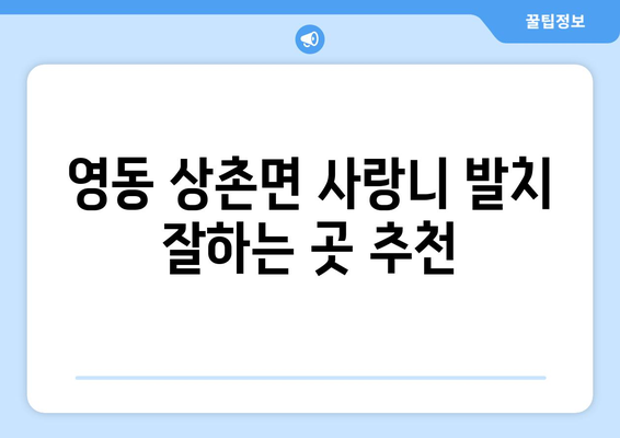 충청북도 영동군 상촌면 사랑니 치과 매복 발치 잘하는 곳 비용 | 후기 | 추천