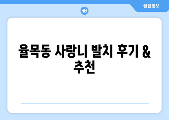 인천시 중구 율목동 사랑니 치과 매복 발치 잘하는 곳 비용 | 후기 | 추천