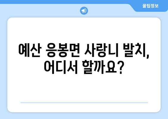 충청남도 예산군 응봉면 사랑니 치과 매복 발치 잘하는 곳 비용 | 후기 | 추천