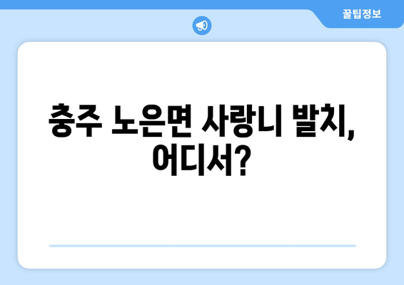 충청북도 충주시 노은면 사랑니 치과 매복 발치 잘하는 곳 비용 | 후기 | 추천