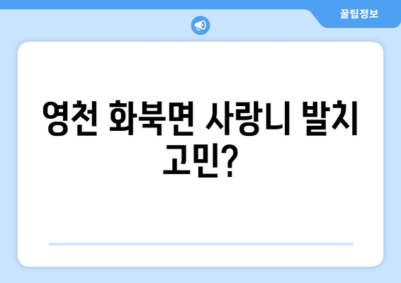 경상북도 영천시 화북면 사랑니 치과 매복 발치 잘하는 곳 비용 | 후기 | 추천