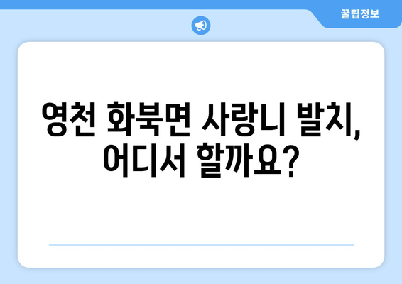 경상북도 영천시 화북면 사랑니 치과 매복 발치 잘하는 곳 비용 | 후기 | 추천