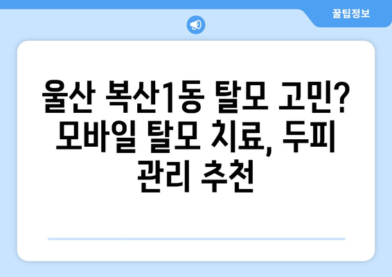 울산시 중구 복산1동 모바일식 탈모치료 잘하는곳 두피관리 추천 베스트 헤어라인 정수리 비용 후기