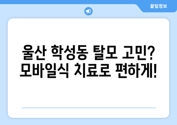 울산시 중구 학성동 모바일식 탈모치료 잘하는곳 두피관리 추천 베스트 헤어라인 정수리 비용 후기