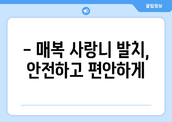 충청남도 홍성군 장곡면 사랑니 치과 매복 발치 잘하는 곳 비용 | 후기 | 추천