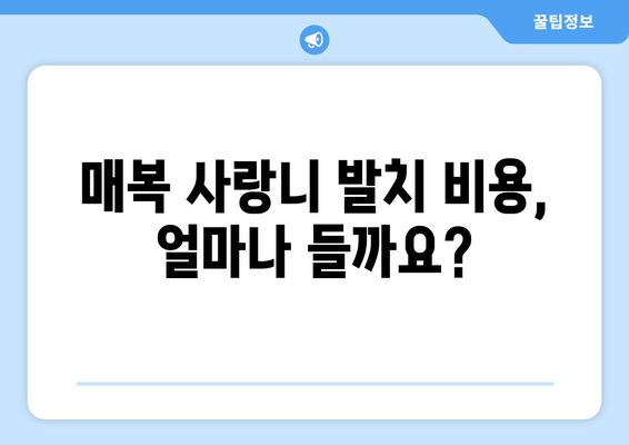 전라남도 영광군 군남면 사랑니 치과 매복 발치 잘하는 곳 비용 | 후기 | 추천