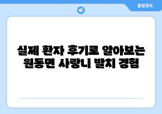 경상남도 양산시 원동면 사랑니 치과 매복 발치 잘하는 곳 비용 | 후기 | 추천