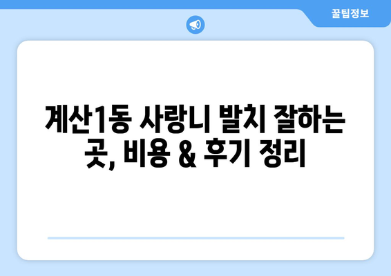 인천시 계양구 계산1동 사랑니 치과 매복 발치 잘하는 곳 비용 | 후기 | 추천