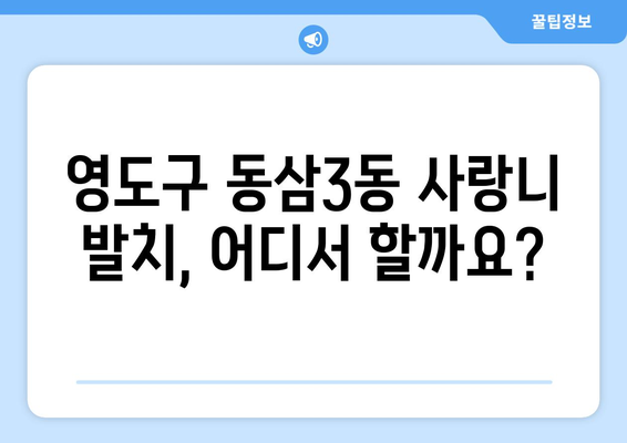 부산시 영도구 동삼3동 사랑니 치과 매복 발치 잘하는 곳 비용 | 후기 | 추천