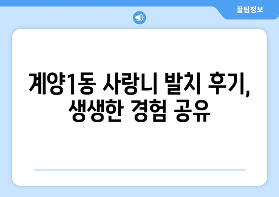 인천시 계양구 계양1동 사랑니 치과 매복 발치 잘하는 곳 비용 | 후기 | 추천