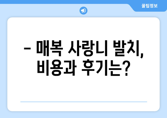 전라북도 무주군 적상면 사랑니 치과 매복 발치 잘하는 곳 비용 | 후기 | 추천