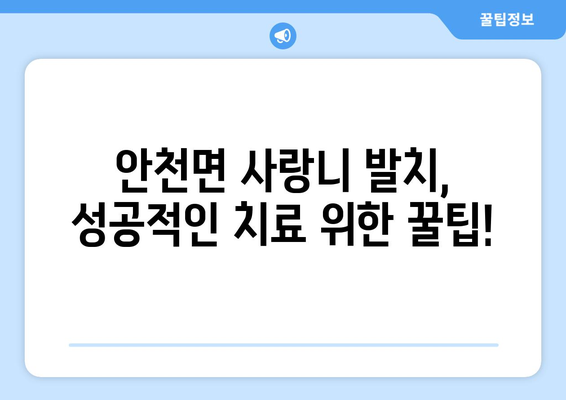 전라북도 진안군 안천면 사랑니 치과 매복 발치 잘하는 곳 비용 | 후기 | 추천