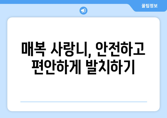 대구시 수성구 범물1동 사랑니 치과 매복 발치 잘하는 곳 비용 | 후기 | 추천