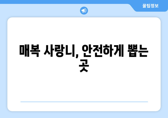 충청북도 제천시 영천동 사랑니 치과 매복 발치 잘하는 곳 비용 | 후기 | 추천