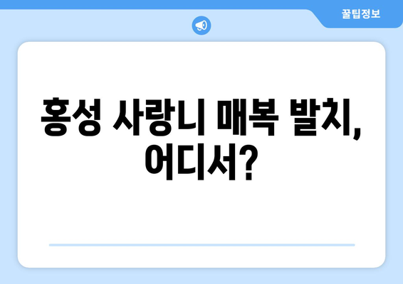 충청남도 홍성군 홍성읍 사랑니 치과 매복 발치 잘하는 곳 비용 | 후기 | 추천