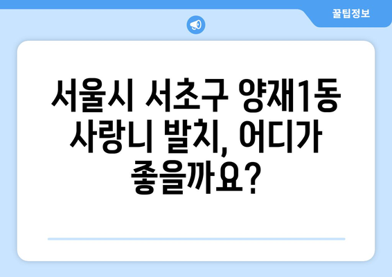 서울시 서초구 양재1동 사랑니 치과 매복 발치 잘하는 곳 비용 | 후기 | 추천