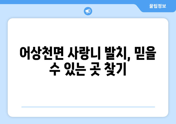 충청북도 단양군 어상천면 사랑니 치과 매복 발치 잘하는 곳 비용 | 후기 | 추천