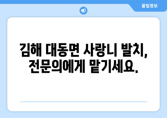 경상남도 김해시 대동면 사랑니 치과 매복 발치 잘하는 곳 비용 | 후기 | 추천