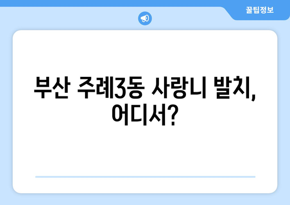 부산시 사상구 주례3동 사랑니 치과 매복 발치 잘하는 곳 비용 | 후기 | 추천