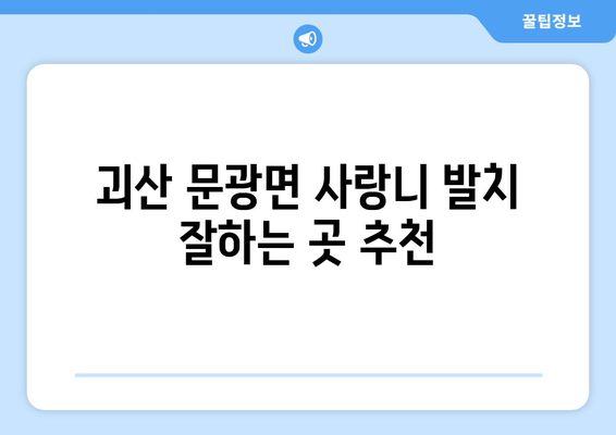 충청북도 괴산군 문광면 사랑니 치과 매복 발치 잘하는 곳 비용 | 후기 | 추천