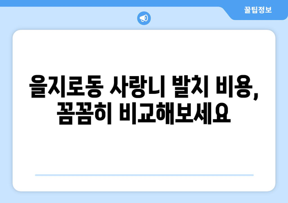 서울시 중구 을지로동 사랑니 치과 매복 발치 잘하는 곳 비용 | 후기 | 추천
