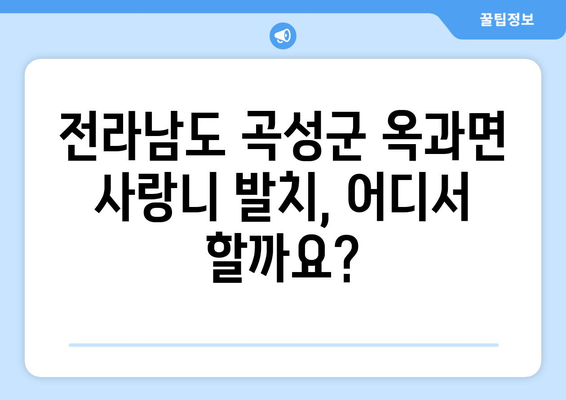 전라남도 곡성군 옥과면 사랑니 치과 매복 발치 잘하는 곳 비용 | 후기 | 추천