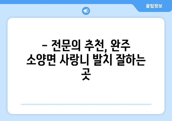 전라북도 완주군 소양면 사랑니 치과 매복 발치 잘하는 곳 비용 | 후기 | 추천