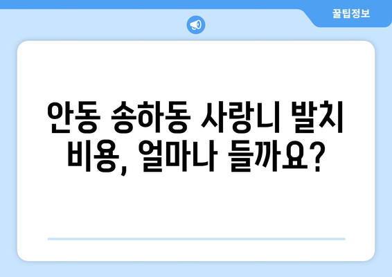 경상북도 안동시 송하동 사랑니 치과 매복 발치 잘하는 곳 비용 | 후기 | 추천