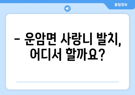전라북도 임실군 운암면 사랑니 치과 매복 발치 잘하는 곳 비용 | 후기 | 추천