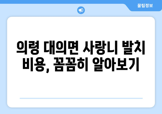 경상남도 의령군 대의면 사랑니 치과 매복 발치 잘하는 곳 비용 | 후기 | 추천