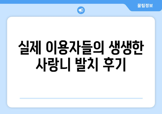 강원도 양양군 손양면 사랑니 치과 매복 발치 잘하는 곳 비용 | 후기 | 추천