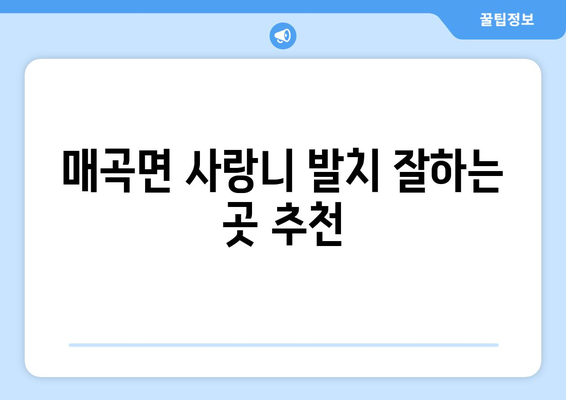 충청북도 영동군 매곡면 사랑니 치과 매복 발치 잘하는 곳 비용 | 후기 | 추천