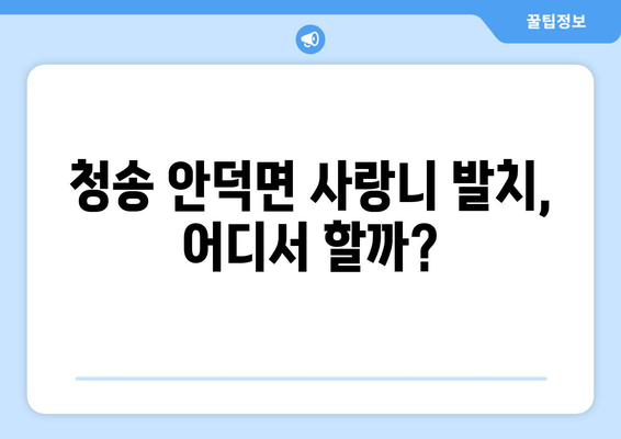 경상북도 청송군 안덕면 사랑니 치과 매복 발치 잘하는 곳 비용 | 후기 | 추천