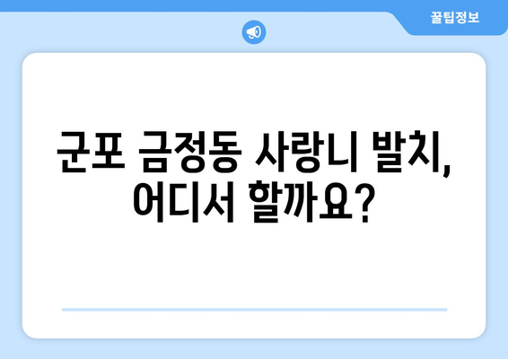 경기도 군포시 금정동 사랑니 치과 매복 발치 잘하는 곳 비용 | 후기 | 추천